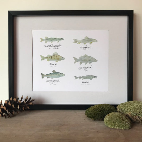 Ontario fish - Ojibwe names