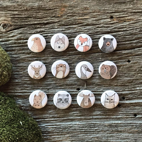 wild canada - Quills