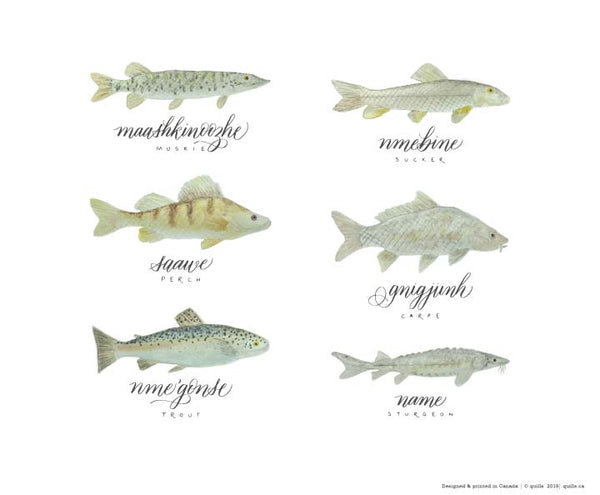 Ontario fish - Ojibwe names