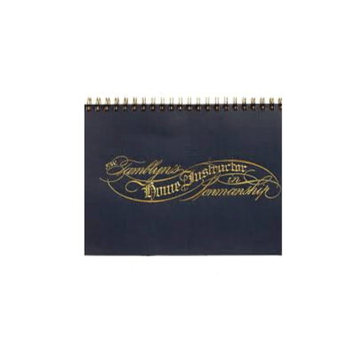 F W Tamblyn's Home Instructor in Penmanship