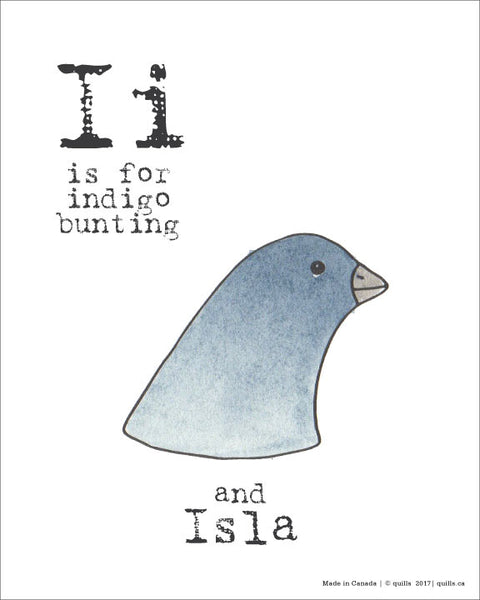 Canadian Animal Print - Quills