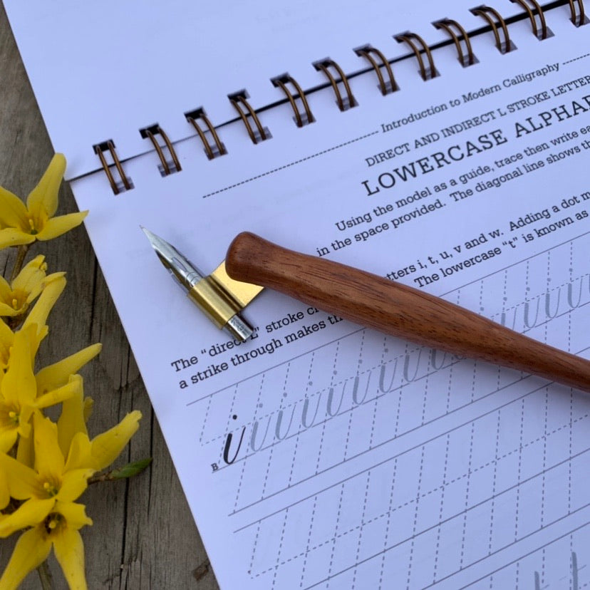 Introduction to Modern Calligraphy