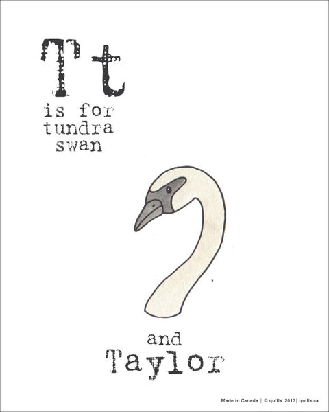 Canadian Animal Print - Quills