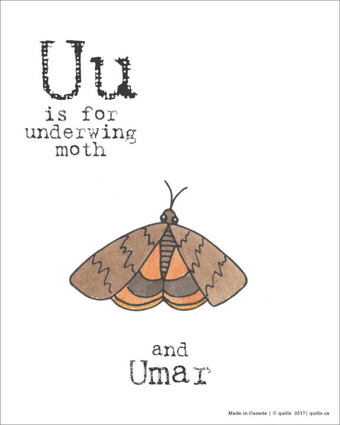 Canadian Animal Print - Quills