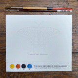 Tisgan Bebezhik Gindaaswin: Paint by Numbers - Eastern Tiger Swallowtail