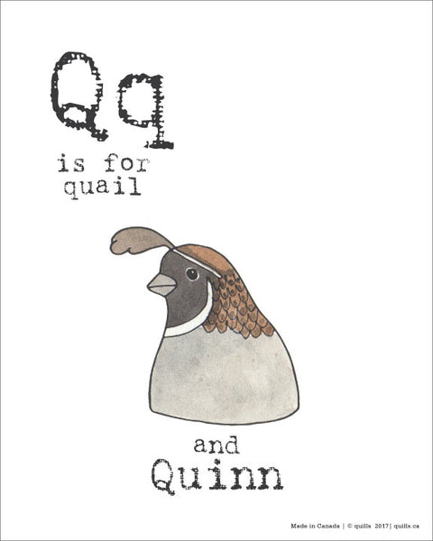 Canadian Animal Print - Quills